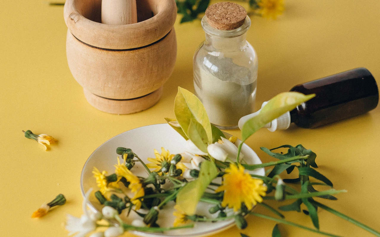 African Traditional and Natural Medicine Research & Botanical Healing
